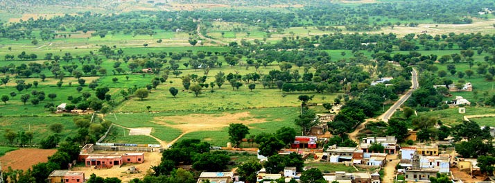 1752/Castle Kalwar - Jaipur 13.jpg
